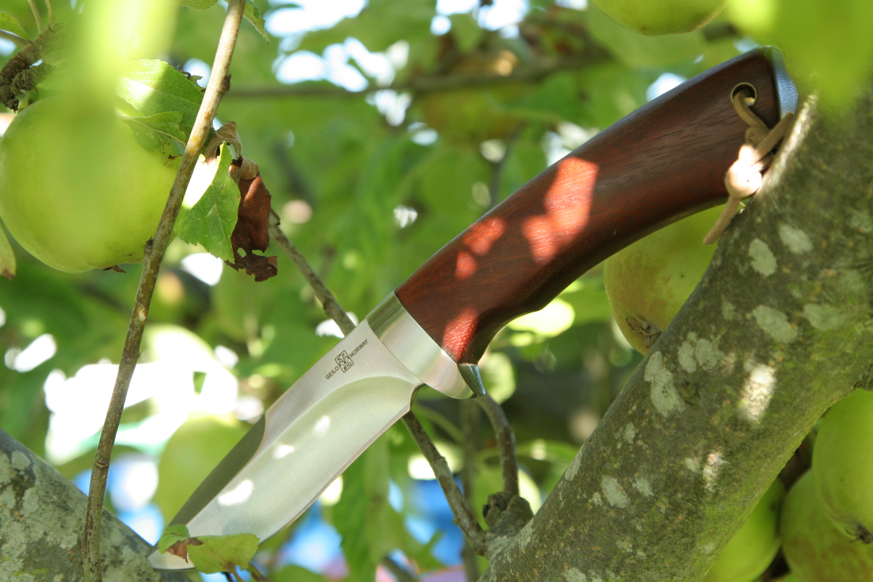 IMG-9178-1.jpg%22 alt=%22IMG-9178-1%22 border=%220%22>